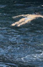 ELSA PATAKY in Bikini Paddleboarding and Swiming in Corsica 07/03/2015