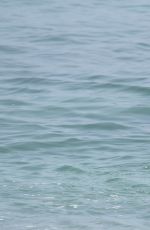 EVA LONGORIA in Bikini at a Beach in Marbella 07/03/2015