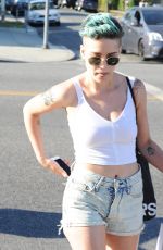 HLSEY Out Shopping in Los Angeles 07/23/2015