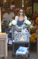 JESSICA ALBA Shopping at Bristol Farms in West Hollywood 07/26/2015
