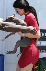 KYLIE JENNER Out and About in Sherman Oaks 07/03/2015