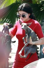 KYLIE JENNER Out and About in Sherman Oaks 07/03/2015