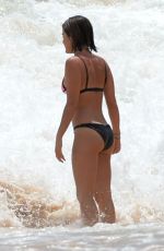 LUCY HALE in Bikini on the Beach in Hawaii 07/04/2015
