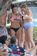 LUCY HALE in Bikini on the Beach in Hawaii 07/04/2015