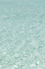 NATASHA OAKLEY and DEVIN BRUGMAN - Monday Swimwear 2015 Collection
