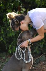 SOPHIA BUSH Out Walking with Her Dog in Los Angeles 07/07/2015