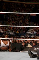 WWE - Battleground 2015 Digitals