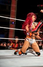 WWE - Battleground 2015 Digitals