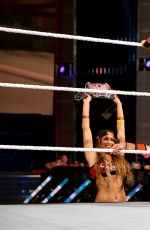 WWE - Battleground 2015 Digitals