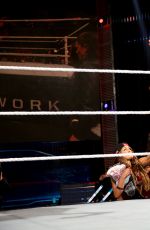 WWE - Battleground 2015 Digitals