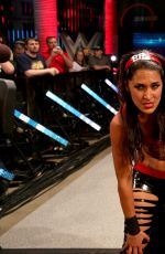 WWE - Battleground 2015 Digitals
