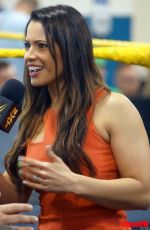 WWE - NXT Cocoa Live Event Pics 07/17/2015