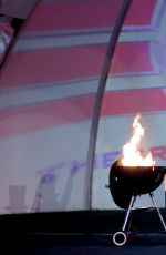 WWE- Patriotic Divas