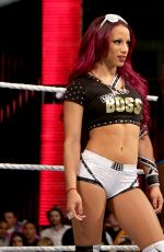 WWE - Raw Digitals 07/13/2015
