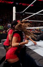 WWE - Raw Digitals 07/20/2015