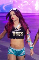 WWE - Raw Digitals 07/20/2015