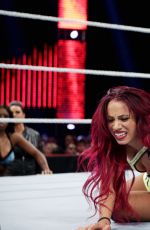 WWE - Raw Digitals 07/27/2015