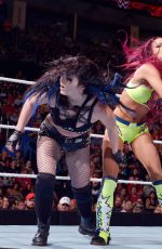 WWE - Raw Digitals 07/27/2015