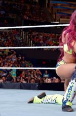 WWE - Raw Digitals 07/27/2015