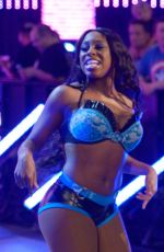 WWE - Raw Digitals 07/27/2015