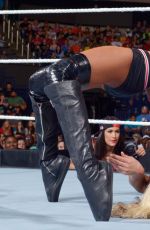 WWE - Raw Digitals 07/27/2015