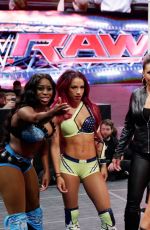WWE - Raw Digitals 07/27/2015