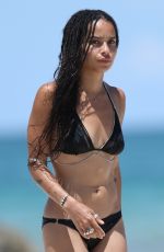 ZOE KRAVITZ in Bikini at a Beach in Miami 07/12/2015