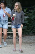 AMANDA SEYFRIED and Her Dog Finn Out in New York 08/27/2015