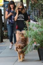AMANDA SEYFRIED Walks Her Dog Finn Out in New York 08/29/2015