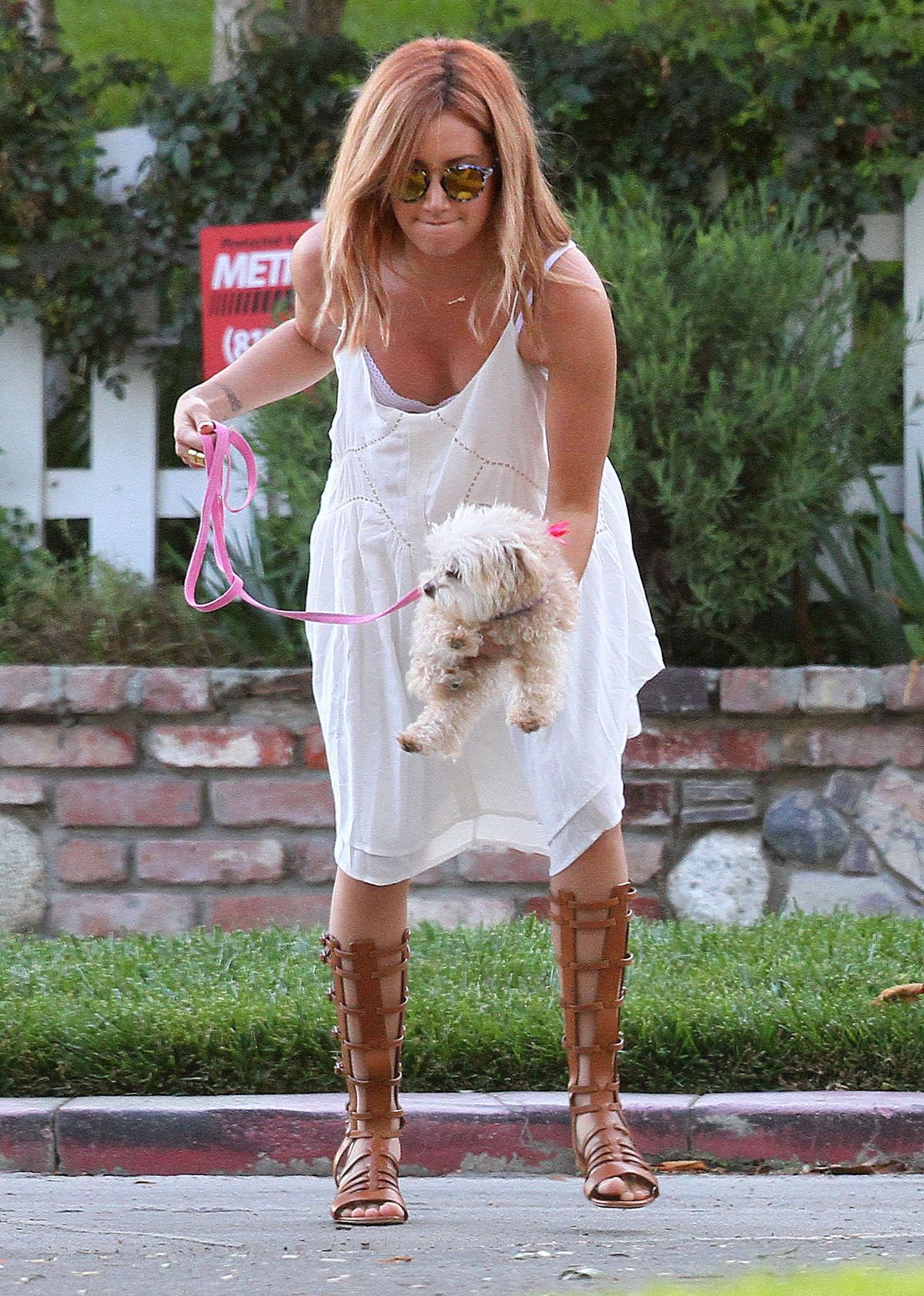 ASHLEY TISDALE Walks Her Dog in Beverly Hills 08/02/2015 – HawtCelebs