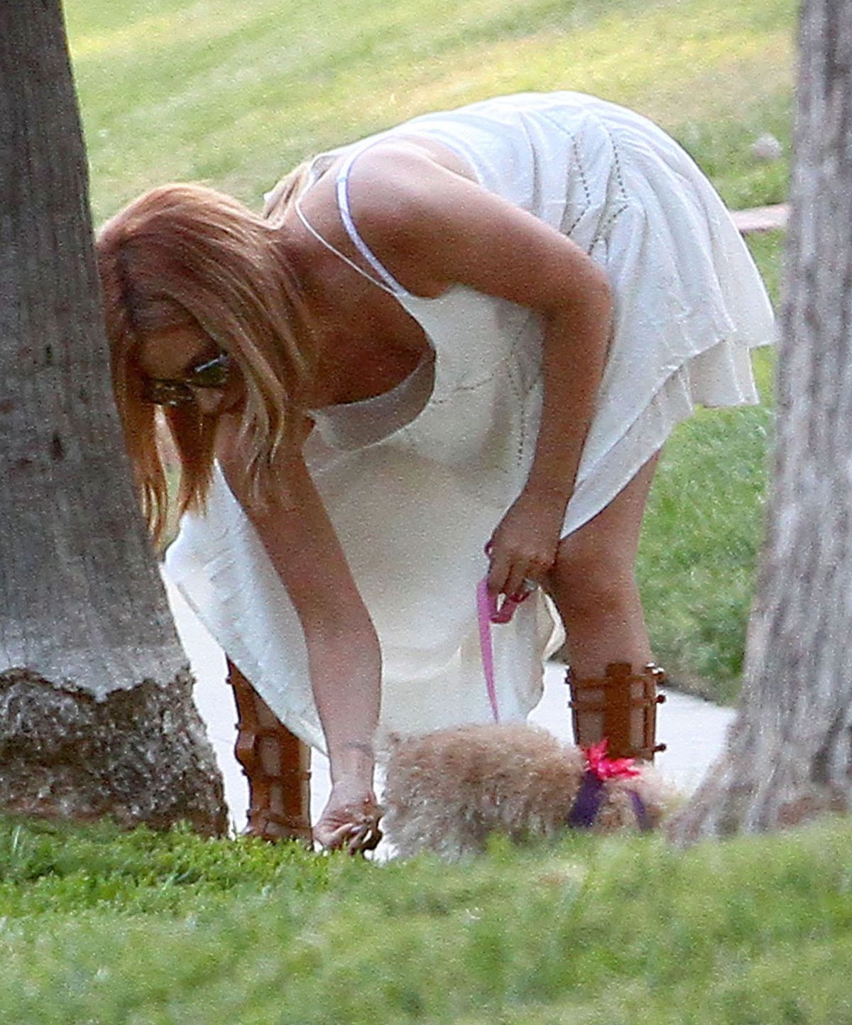 ASHLEY TISDALE Walks Her Dog in Beverly Hills 08/02/2015.