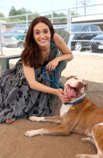EMMY ROSSUM at Microsoft and Best Friends Animal Society Upgrade Your World Event in Los Angeles