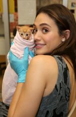 EMMY ROSSUM at Microsoft and Best Friends Animal Society Upgrade Your World Event in Los Angeles