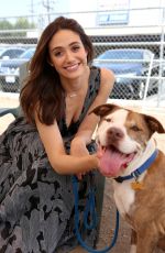 EMMY ROSSUM at Microsoft and Best Friends Animal Society Upgrade Your World Event in Los Angeles