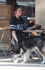 IRELAND BALDWIN at Le Pain Quotidien Bakery in Los Angeles 08/22/2015