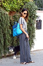 JAMIE CHUNG Walks Her Dog Out in Sherman Oaks 08/03/2015