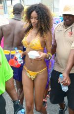 JOURDAN DUNN in Bikini at Kadooment Day in Barbados 08/03/2015