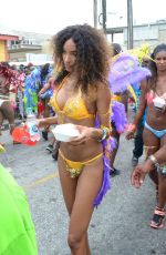 JOURDAN DUNN in Bikini at Kadooment Day in Barbados 08/03/2015