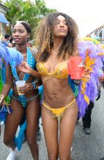 JOURDAN DUNN in Bikini at Kadooment Day in Barbados 08/03/2015