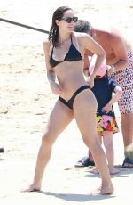 KATHARINE MCPHEE in Bikini Paddleboarding in Mexico 07/31/2015