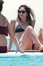 KATHARINE MCPHEE in Bikini Paddleboarding in Mexico 07/31/2015