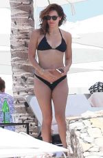 KATHARINE MCPHEE in Bikini Paddleboarding in Mexico 07/31/2015