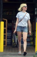 KIRSTEN DUNST Out Shopping in Los Angeles 08/25/2015