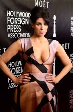 SARAH SILVERMAN at Hollywood Foreign Press Association Grants Banquet in New York