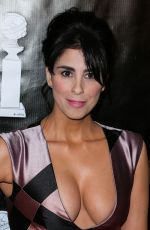 SARAH SILVERMAN at Hollywood Foreign Press Association Grants Banquet in New York