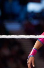 WWE - Farewell Layla