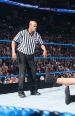 WWE - Farewell Layla
