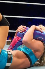 WWE - Farewell Layla