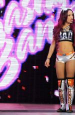 WWE - Raw Digitals 08/17/2015