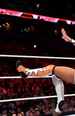 WWE - Raw Digitals 08/17/2015